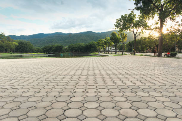 Best Interlocking Driveway Pavers  in Meadowdale, WA